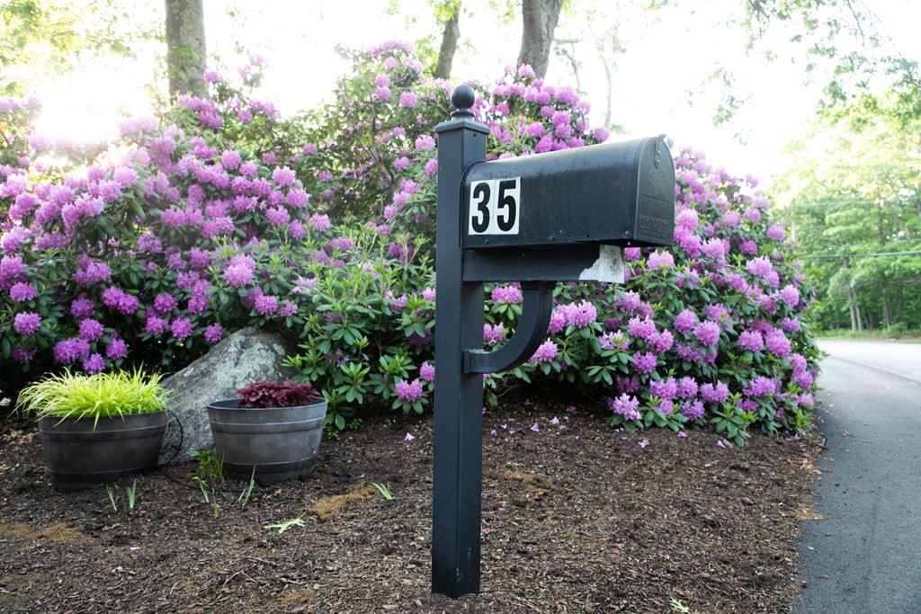 35 Williams Road Sharon, MA 02067 - Photo 16 of 25 a street sign in front of flowers