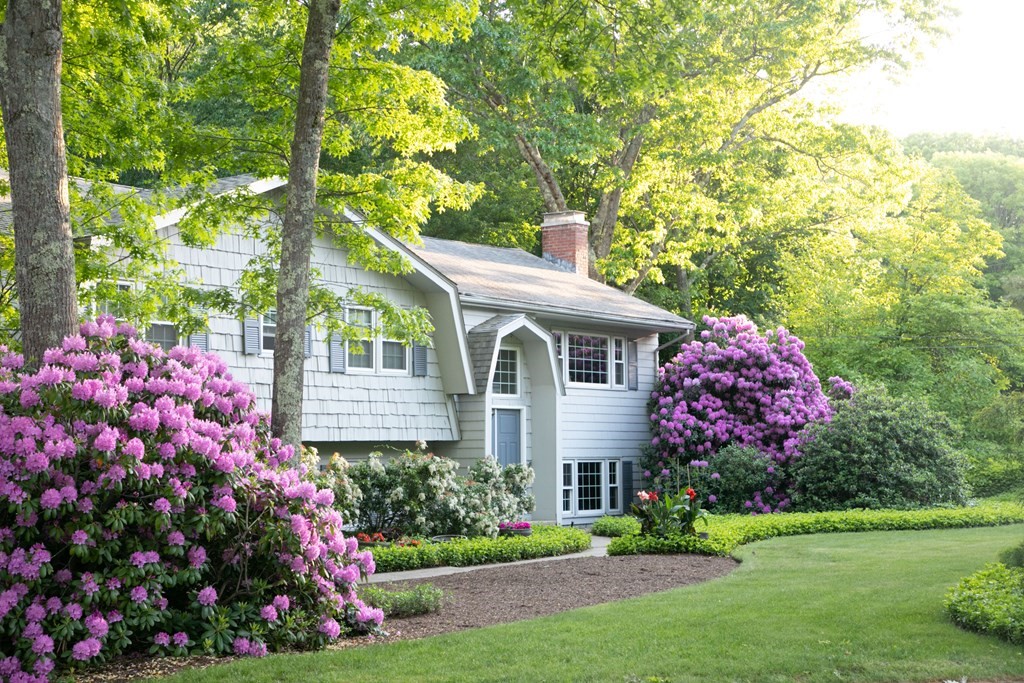35 Williams Road Sharon, MA 02067 - Photo 17 of 25 a front view of a house with a yard and fountain in middle of the green field