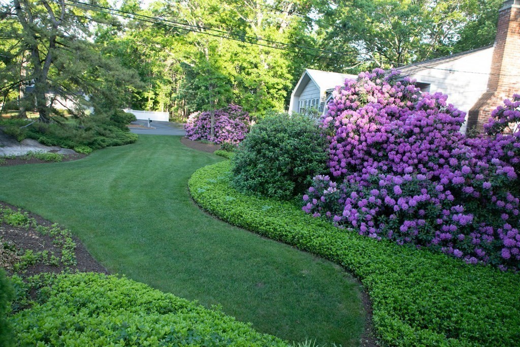 35 Williams Road Sharon, MA 02067 - Photo 3 of 25 a view of a bunch of flowers