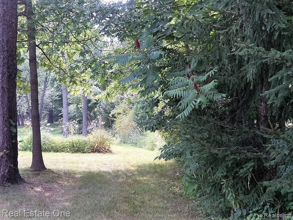 Vl Ortonville Road Clarkston, MI 48348 - Photo 4 of 9 Gallery Image 4