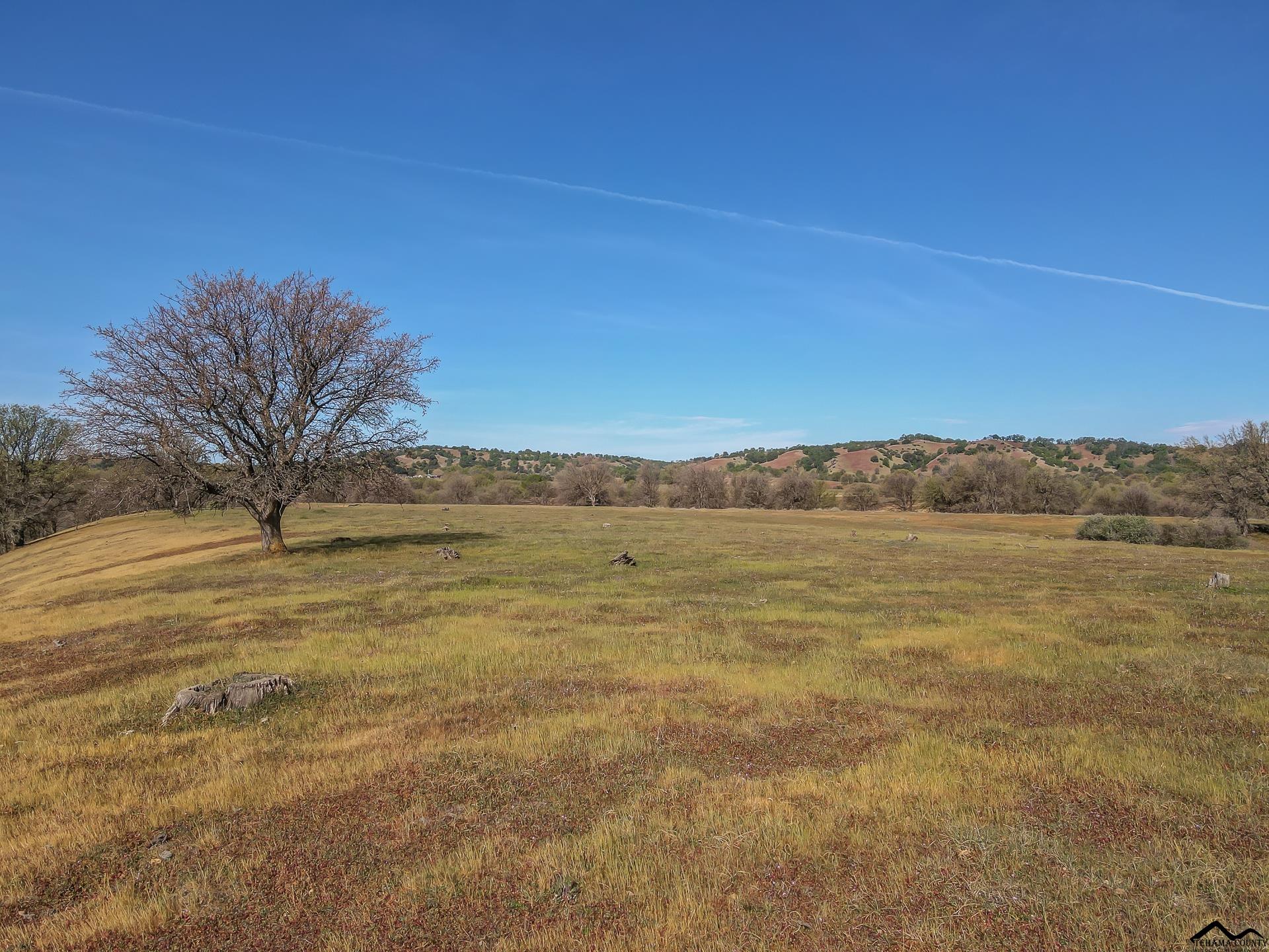 0 Riverview Ranch Road Red Bluff, CA 96080 - Photo 7 of 20 Gallery Image 7