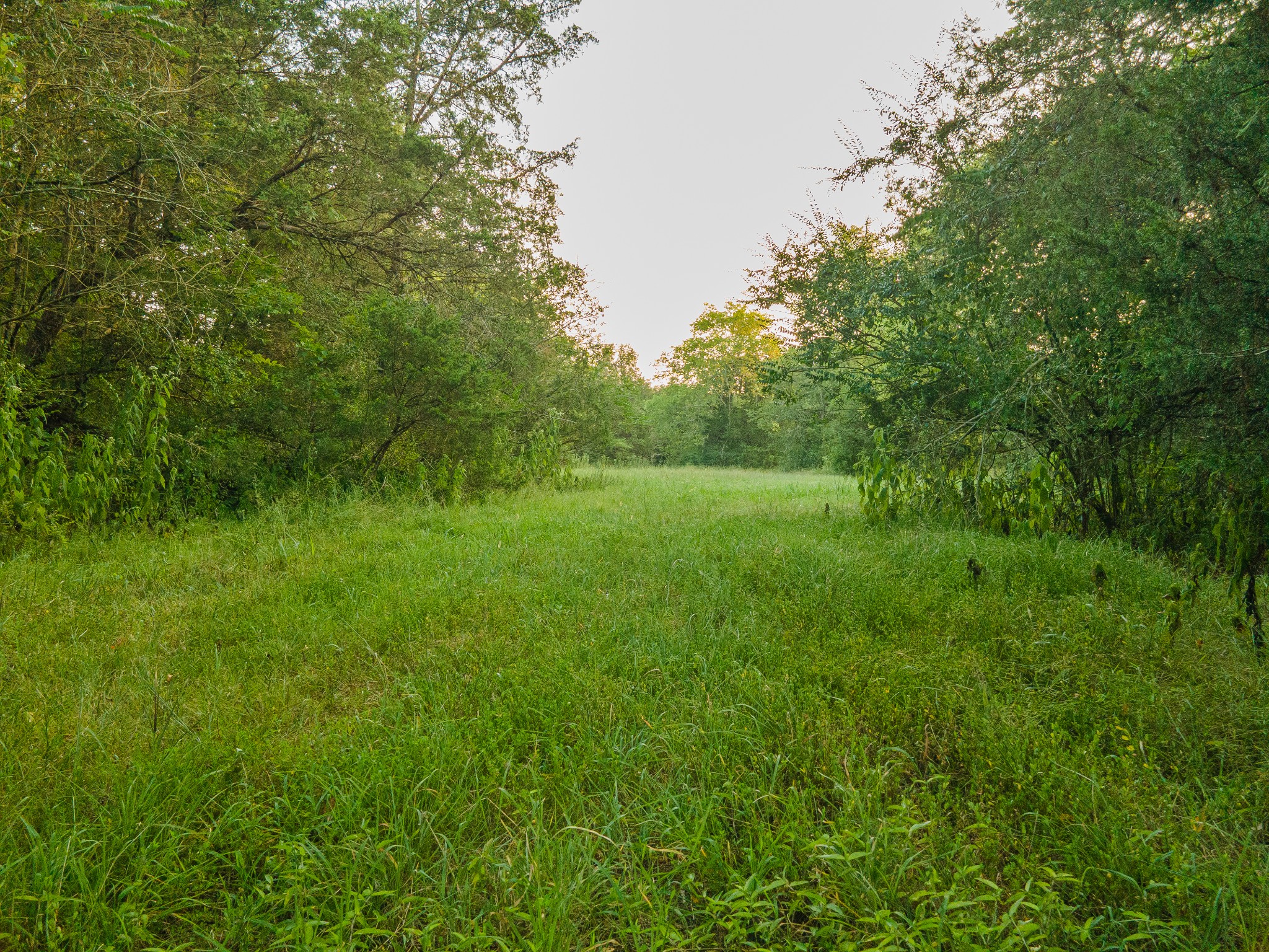0 Hunter Bills Road Lewisburg, TN 37091 - Photo 13 of 73