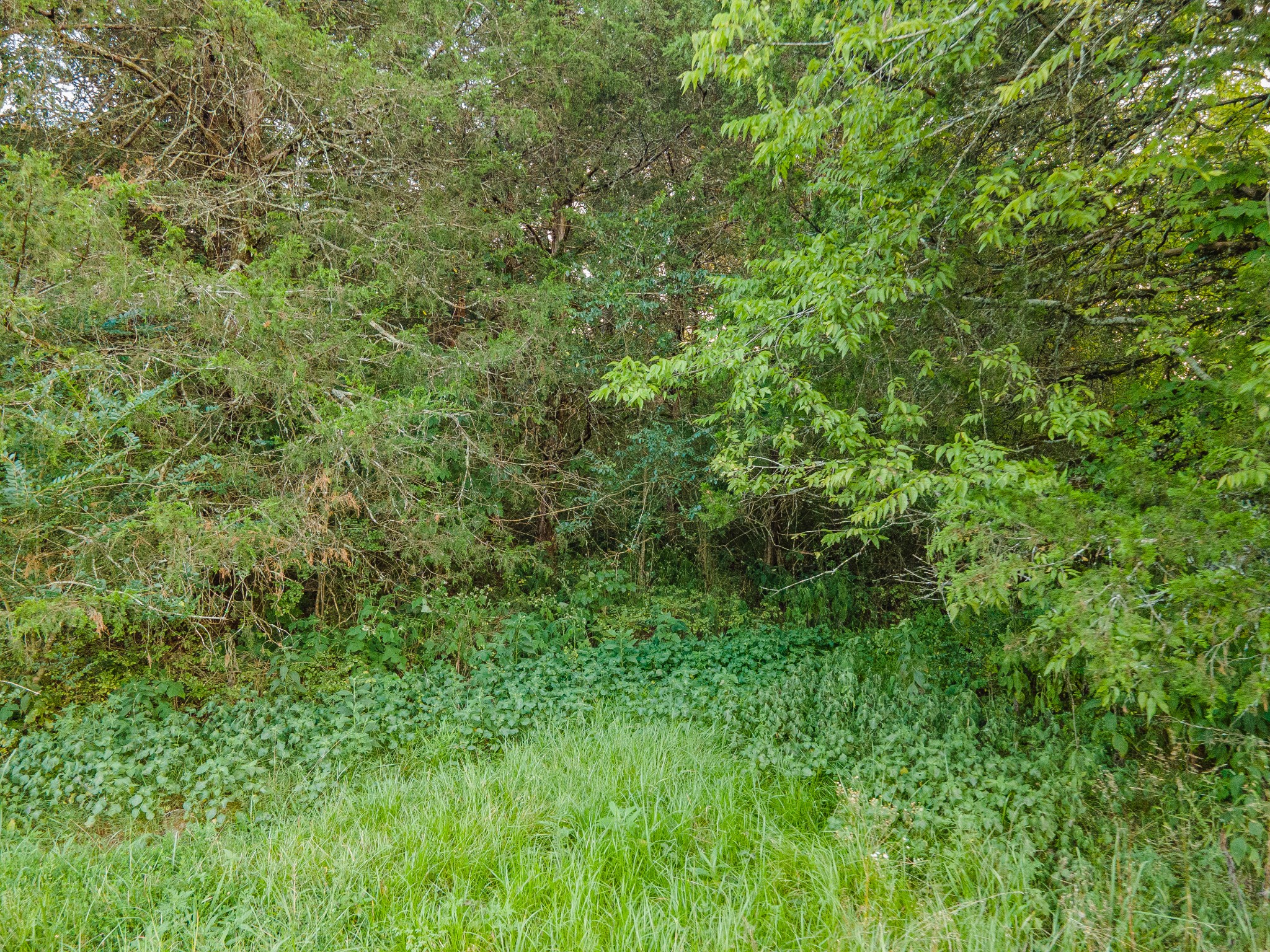 0 Hunter Bills Road Lewisburg, TN 37091 - Photo 15 of 73