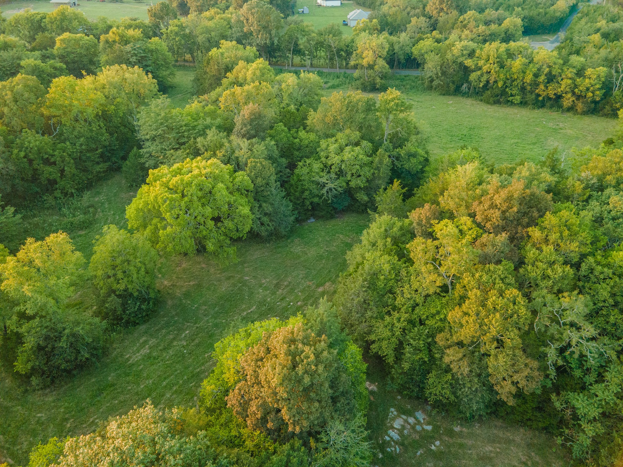 0 Hunter Bills Road Lewisburg, TN 37091 - Photo 17 of 73 a view of a garden with a lake