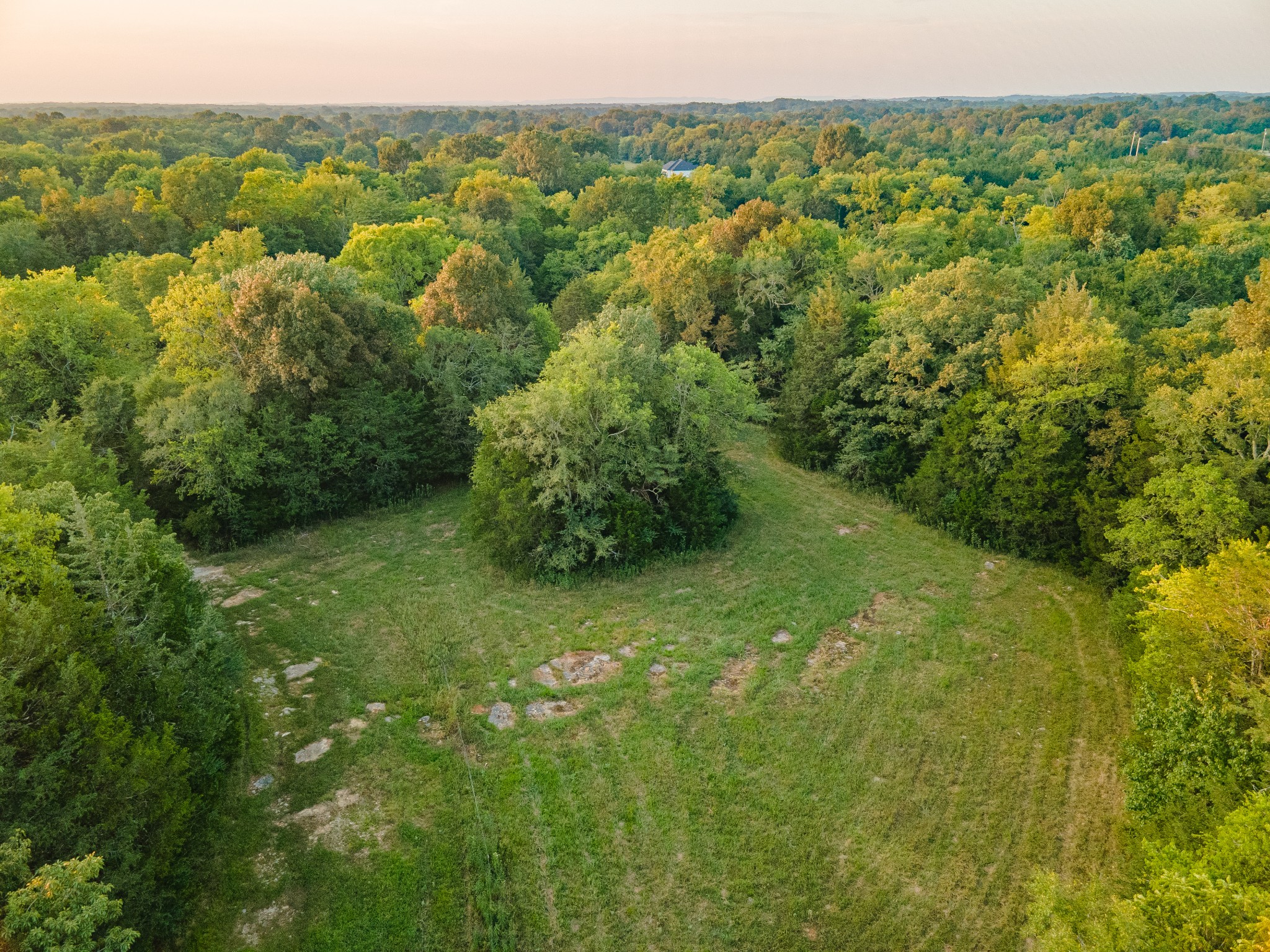 0 Hunter Bills Road Lewisburg, TN 37091 - Photo 18 of 73 a view of a lush green forest with trees in the background
