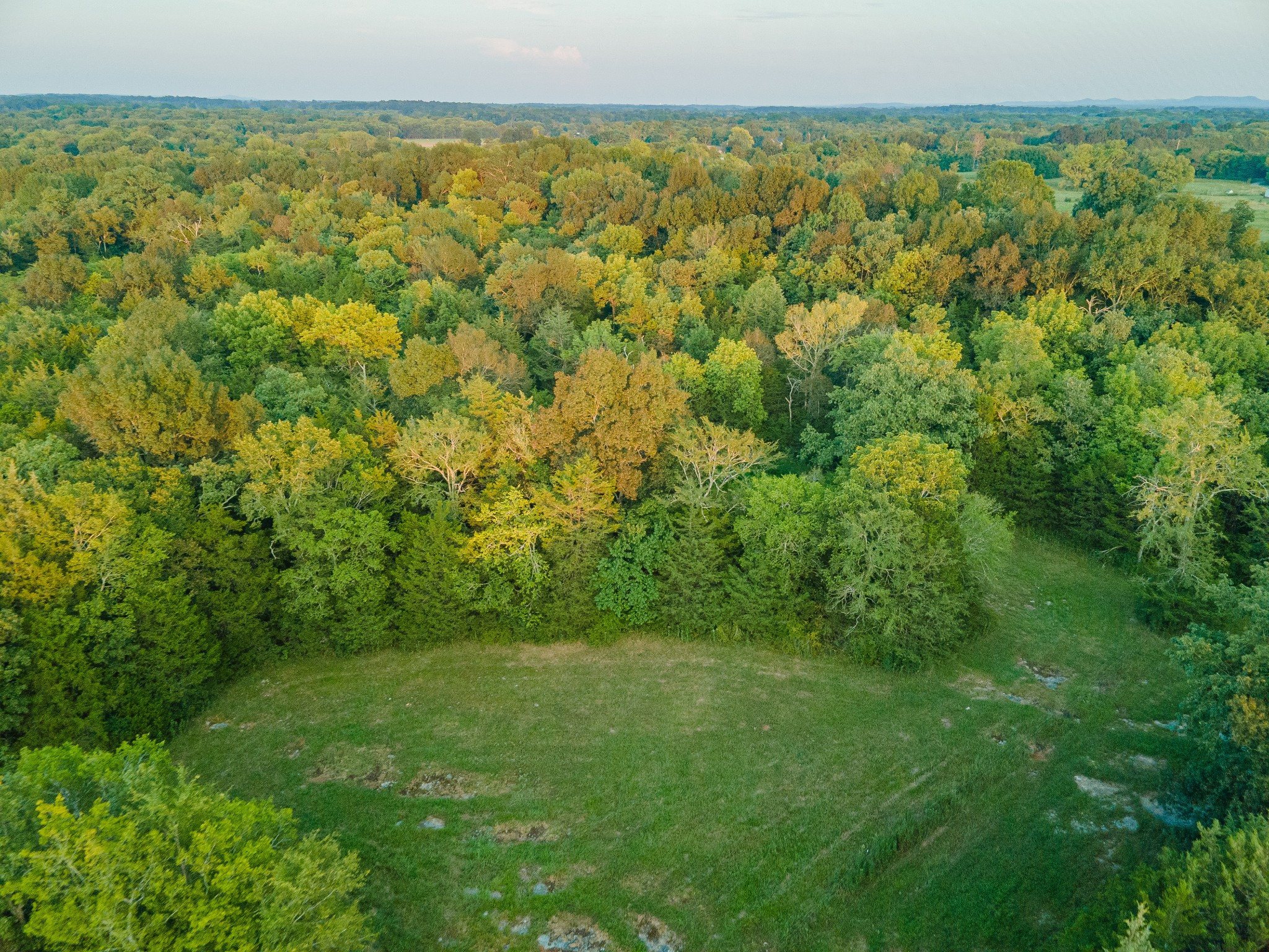 0 Hunter Bills Road Lewisburg, TN 37091 - Photo 19 of 73 a view of a yard with an outdoor space