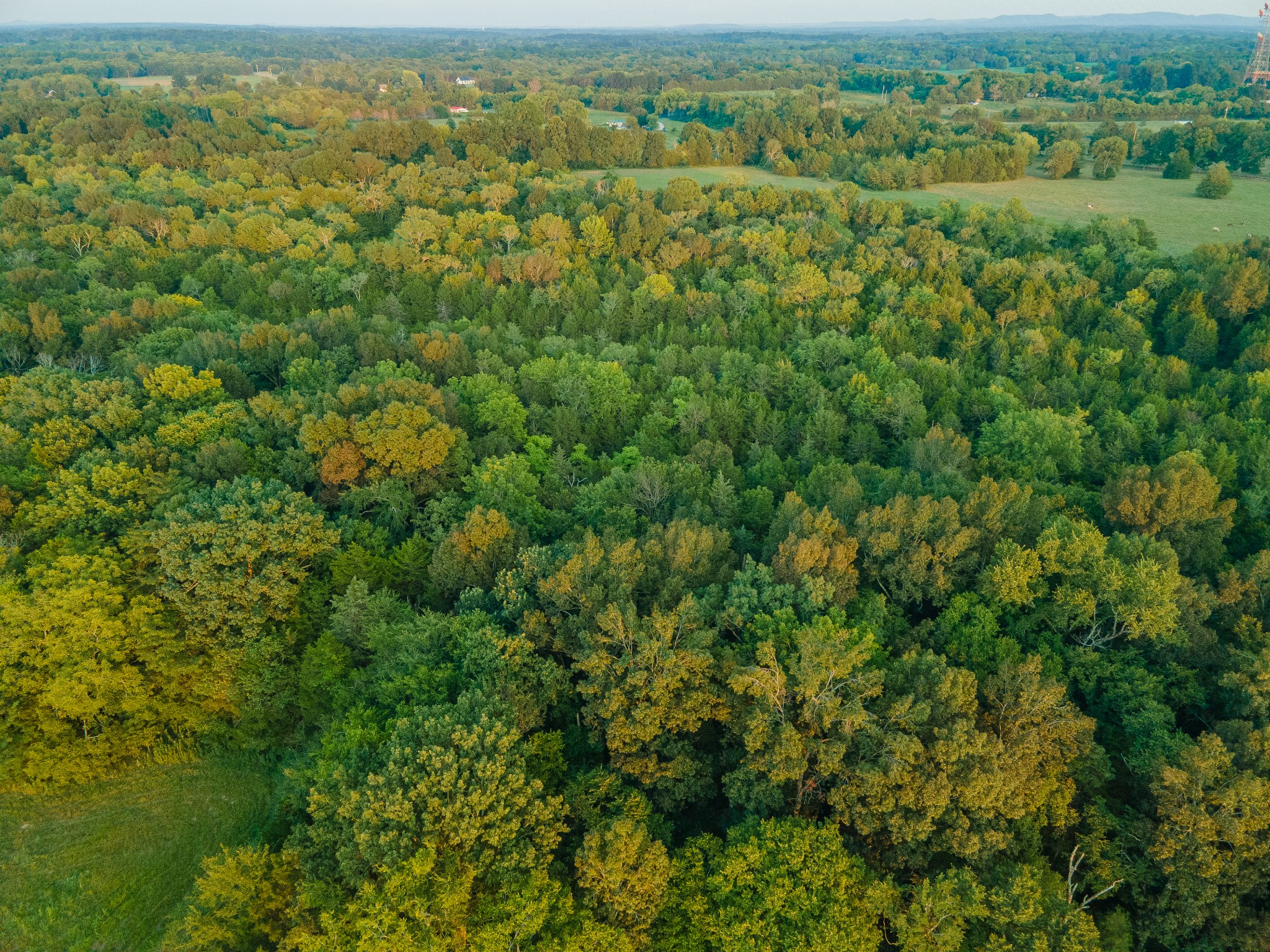 0 Hunter Bills Road Lewisburg, TN 37091 - Photo 21 of 73 an aerial view of residential houses with outdoor space and trees