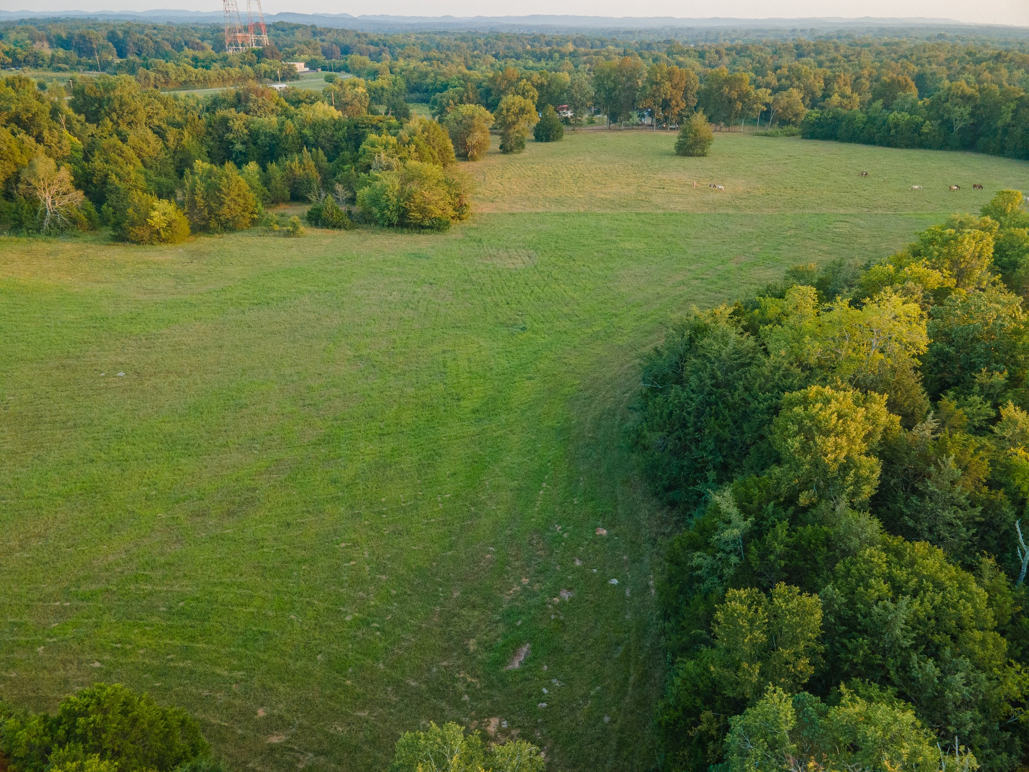 0 Hunter Bills Road Lewisburg, TN 37091 - Photo 22 of 73