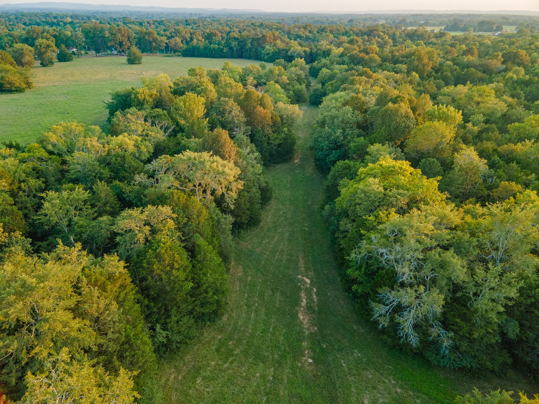 0 Hunter Bills Road Lewisburg, TN 37091 - Photo 23 of 73 an aerial view of green landscape with trees houses and lake view