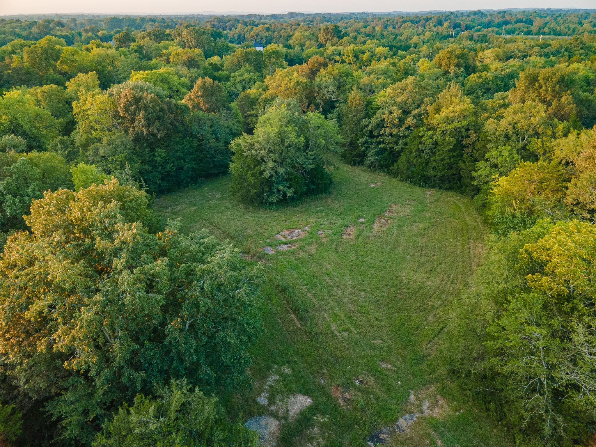 0 Hunter Bills Road Lewisburg, TN 37091 - Photo 24 of 73 an aerial view of residential houses with outdoor space and trees