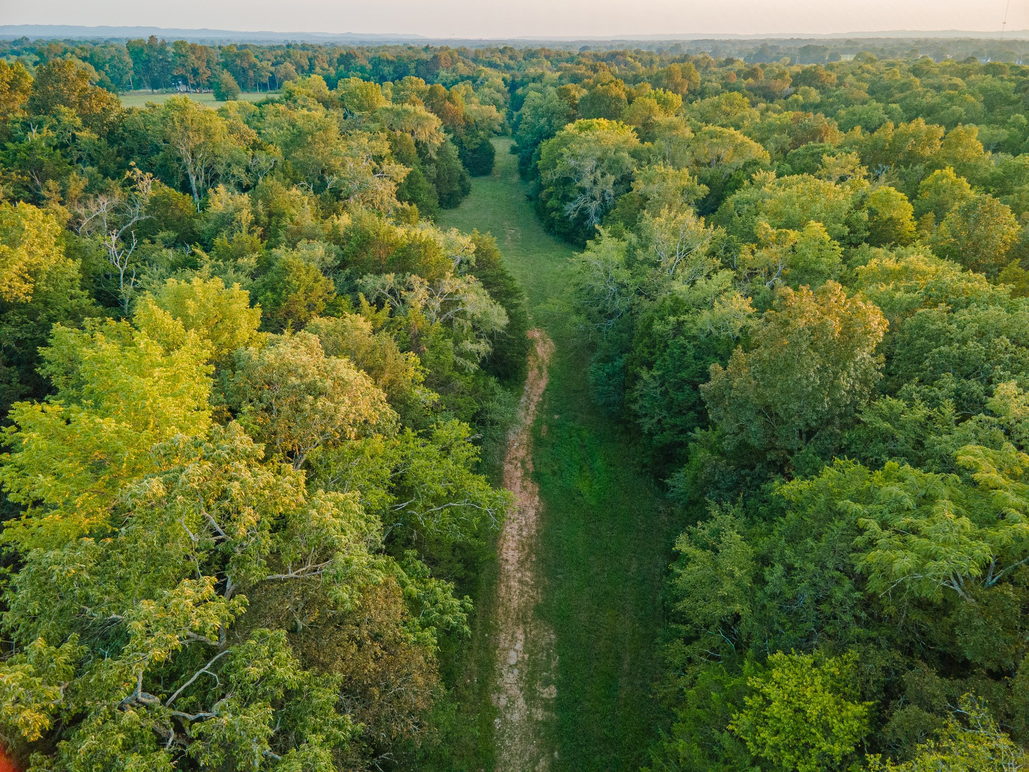 0 Hunter Bills Road Lewisburg, TN 37091 - Photo 25 of 73 an aerial view of a forest with houses