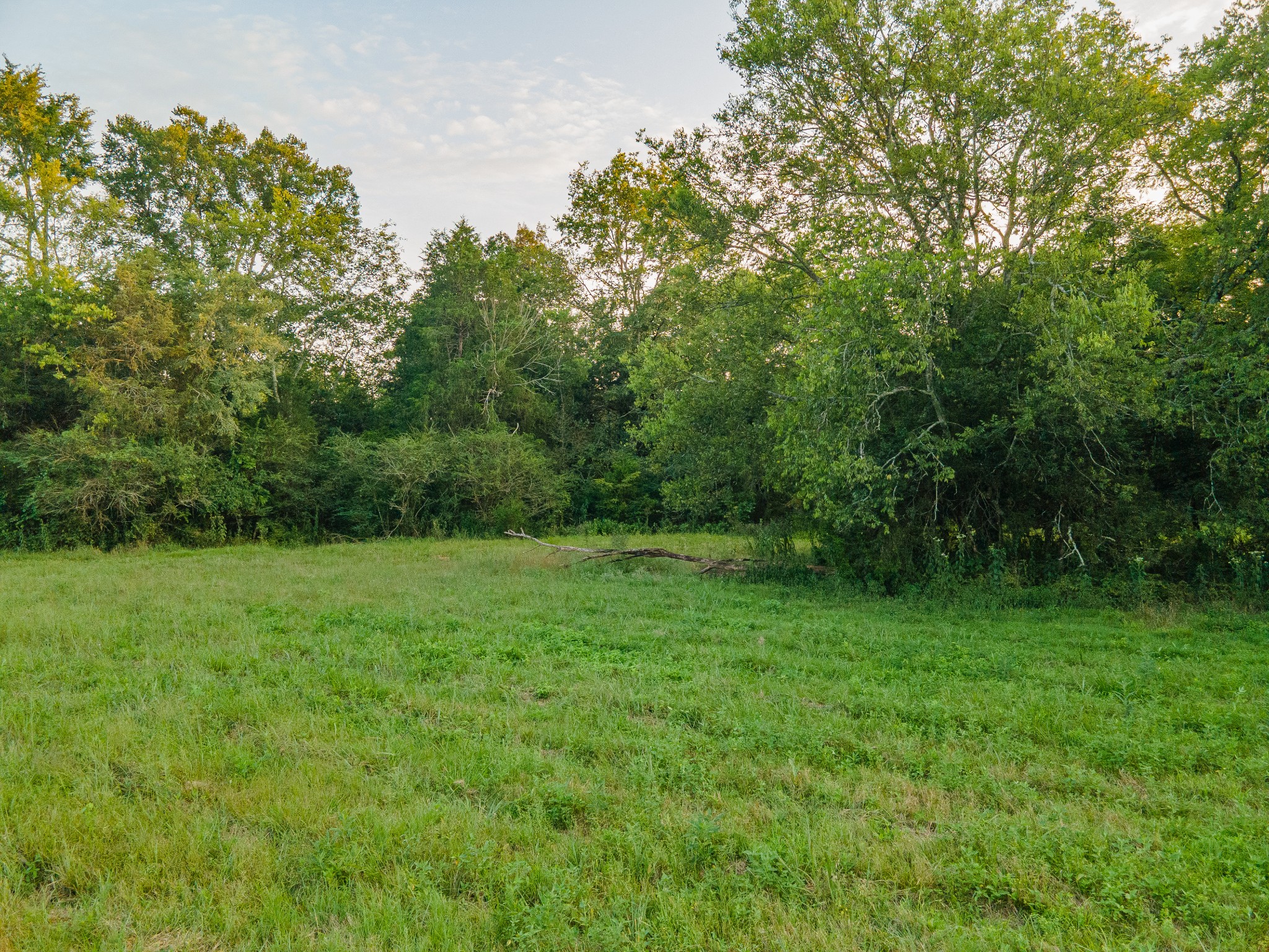0 Hunter Bills Road Lewisburg, TN 37091 - Photo 28 of 73