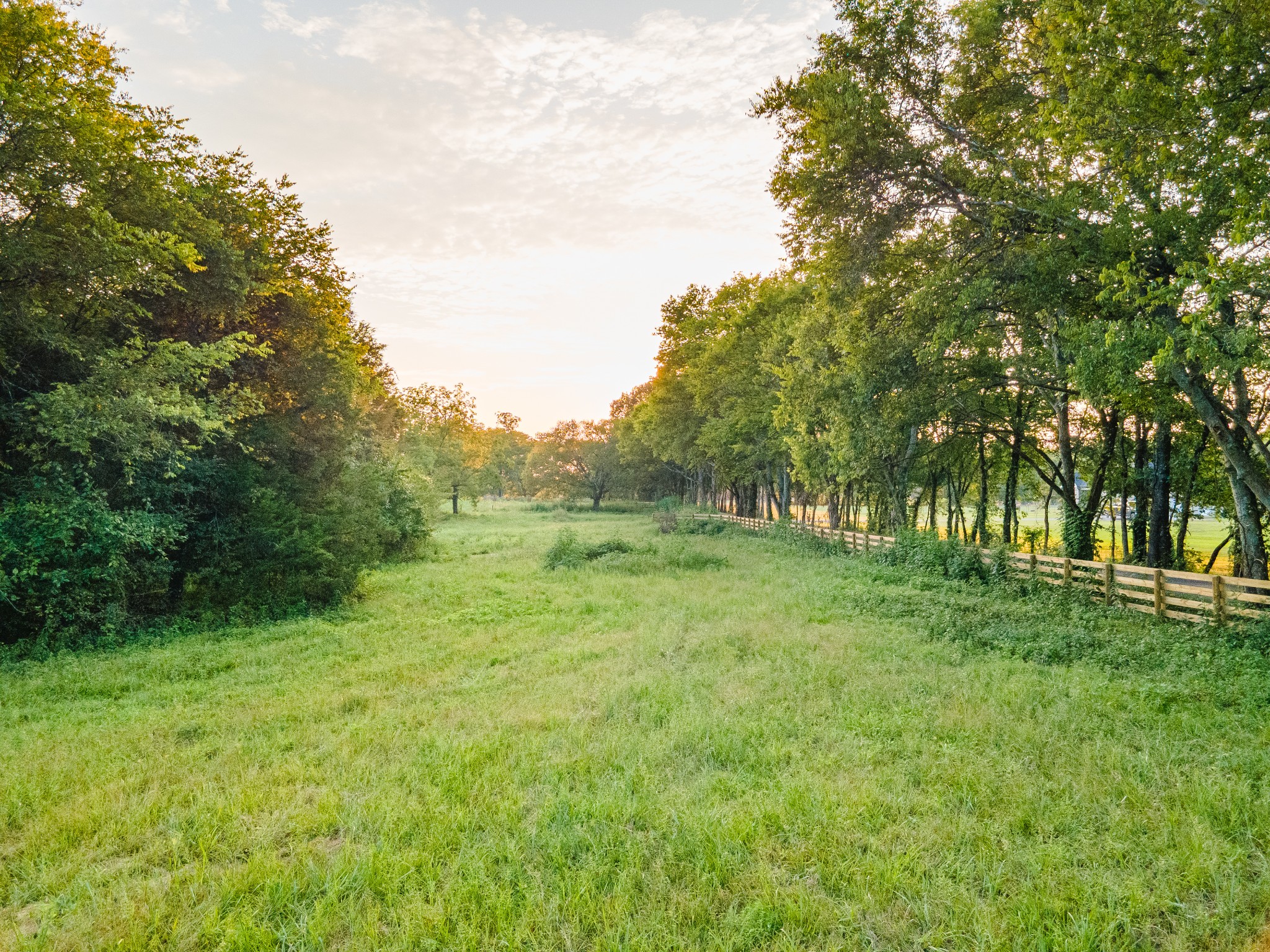 0 Hunter Bills Road Lewisburg, TN 37091 - Photo 31 of 73 a big yard with lots of green space and plants