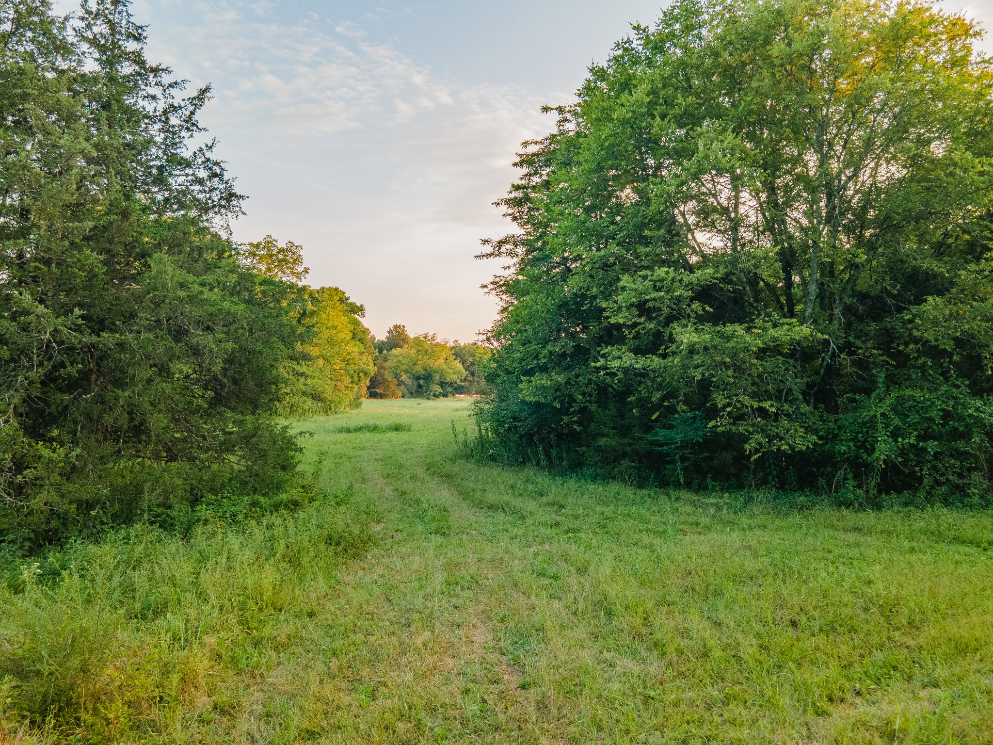 0 Hunter Bills Road Lewisburg, TN 37091 - Photo 32 of 73 a view of outdoor space and yard