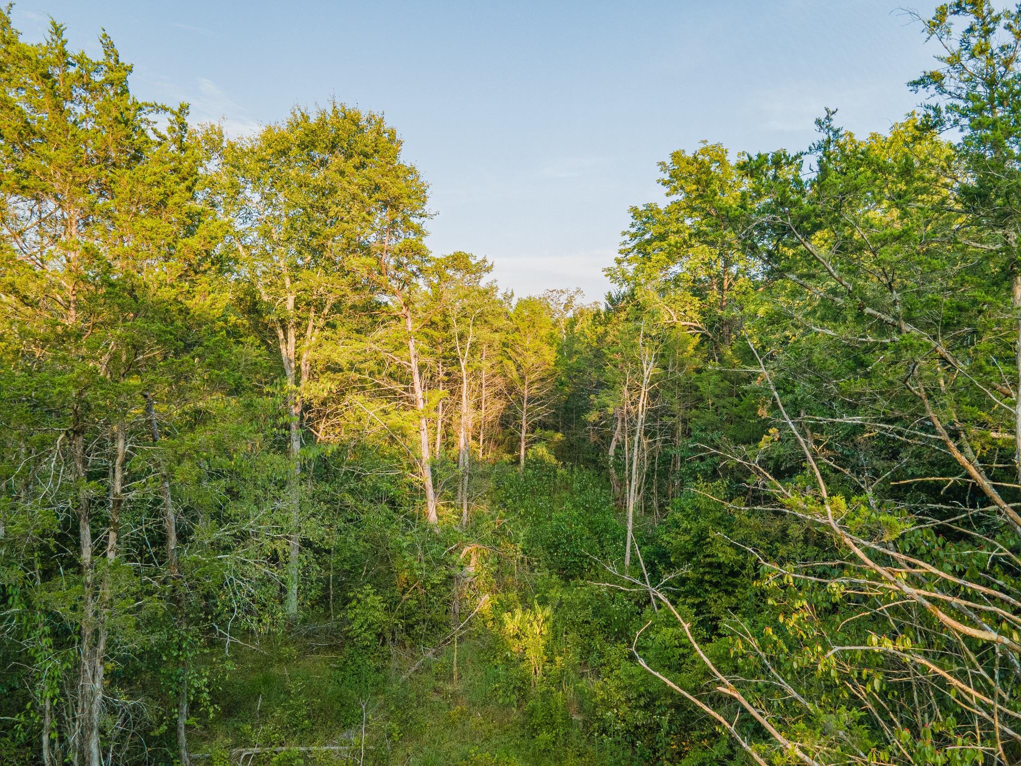 0 Hunter Bills Road Lewisburg, TN 37091 - Photo 35 of 73