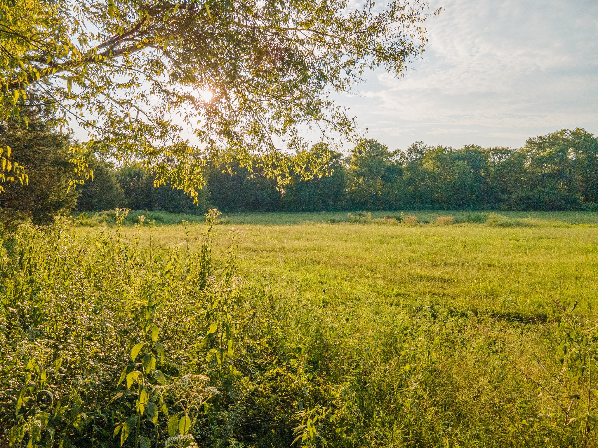 0 Hunter Bills Road Lewisburg, TN 37091 - Photo 39 of 73 a view of an ocean from a yard