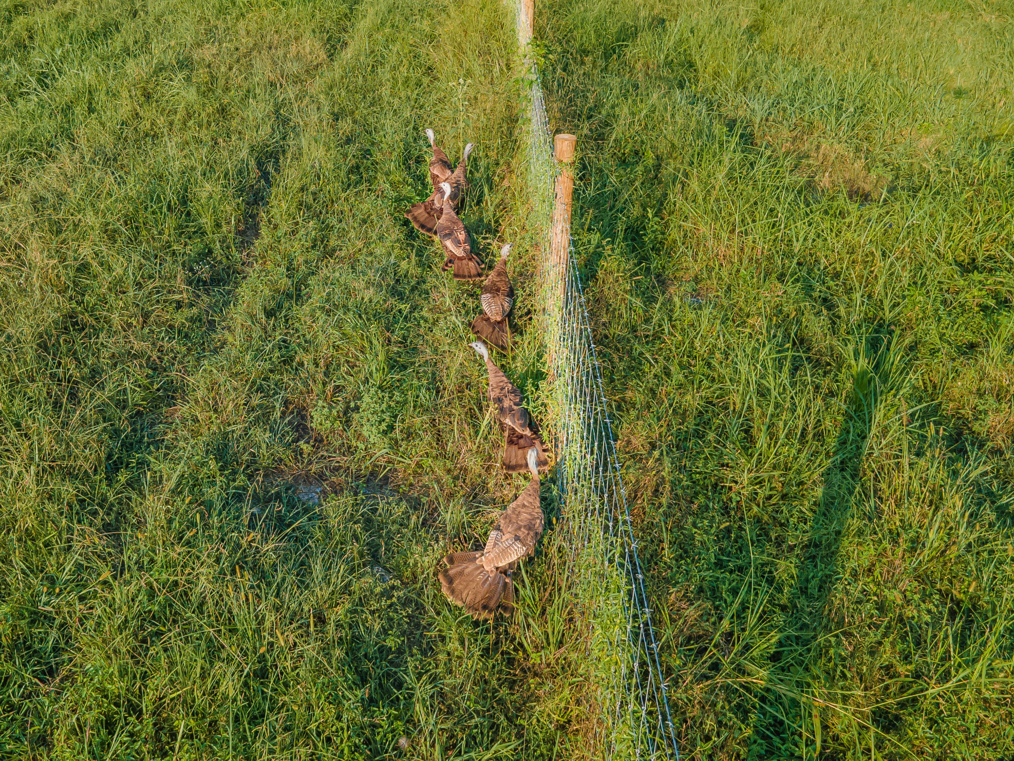 0 Hunter Bills Road Lewisburg, TN 37091 - Photo 4 of 73 a view of a yard