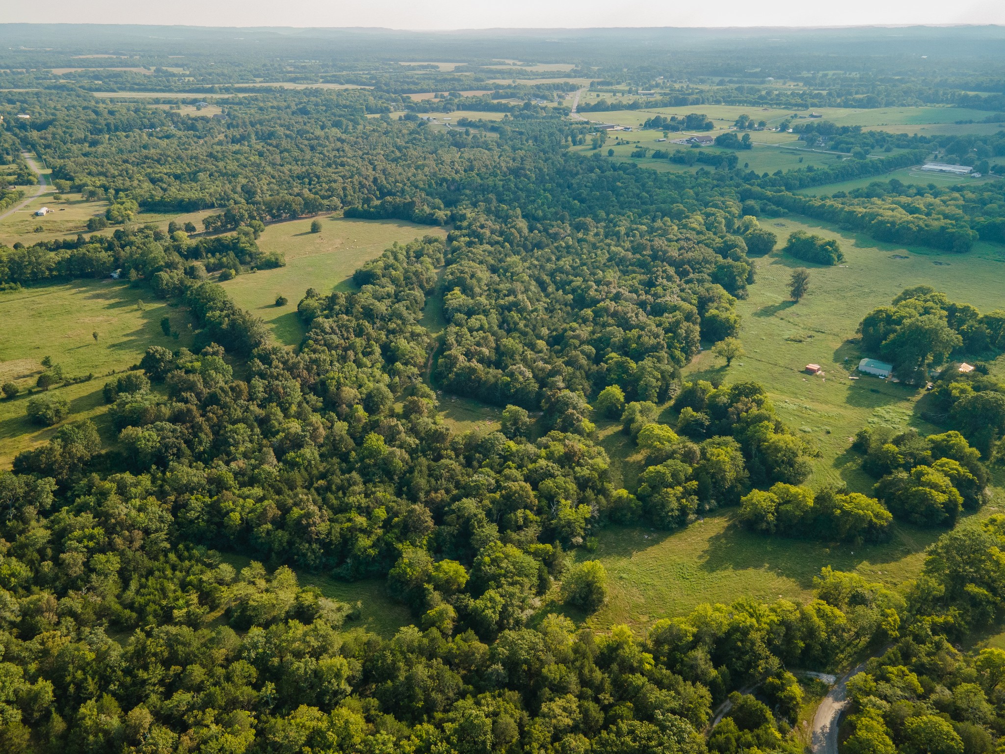 0 Hunter Bills Road Lewisburg, TN 37091 - Photo 43 of 73 an aerial view of residential houses with outdoor space and trees