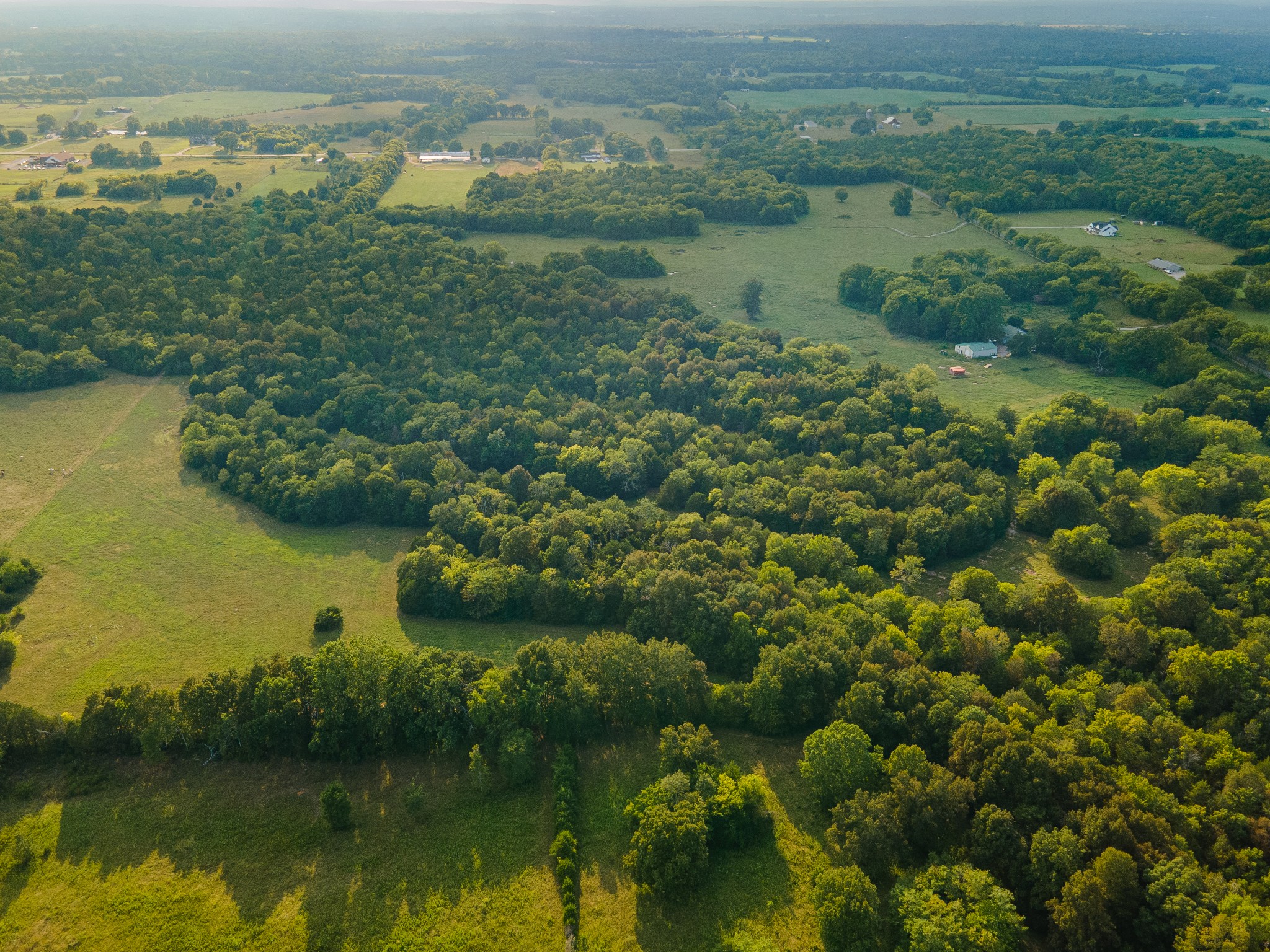 0 Hunter Bills Road Lewisburg, TN 37091 - Photo 46 of 73 a view of a lake with a city