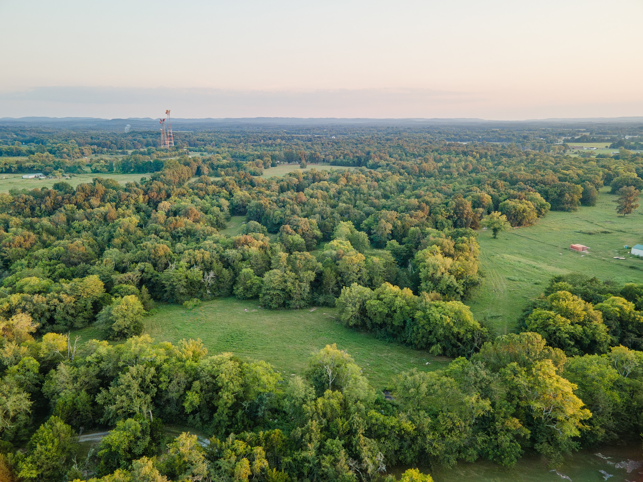0 Hunter Bills Road Lewisburg, TN 37091 - Photo 48 of 73 a view of a green field with lots of bushes