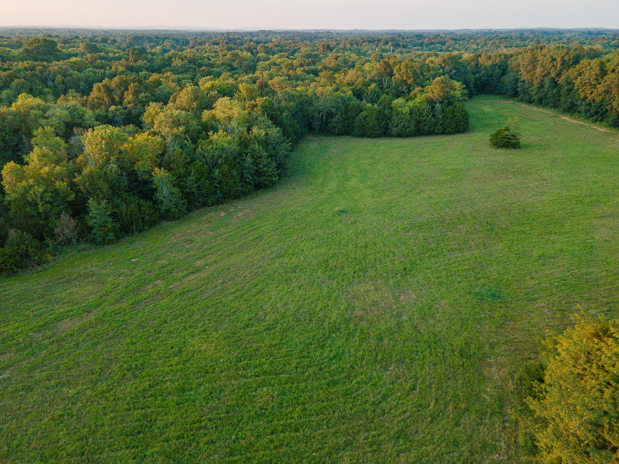 0 Hunter Bills Road Lewisburg, TN 37091 - Photo 51 of 73 a view of a green field with lots of bushes