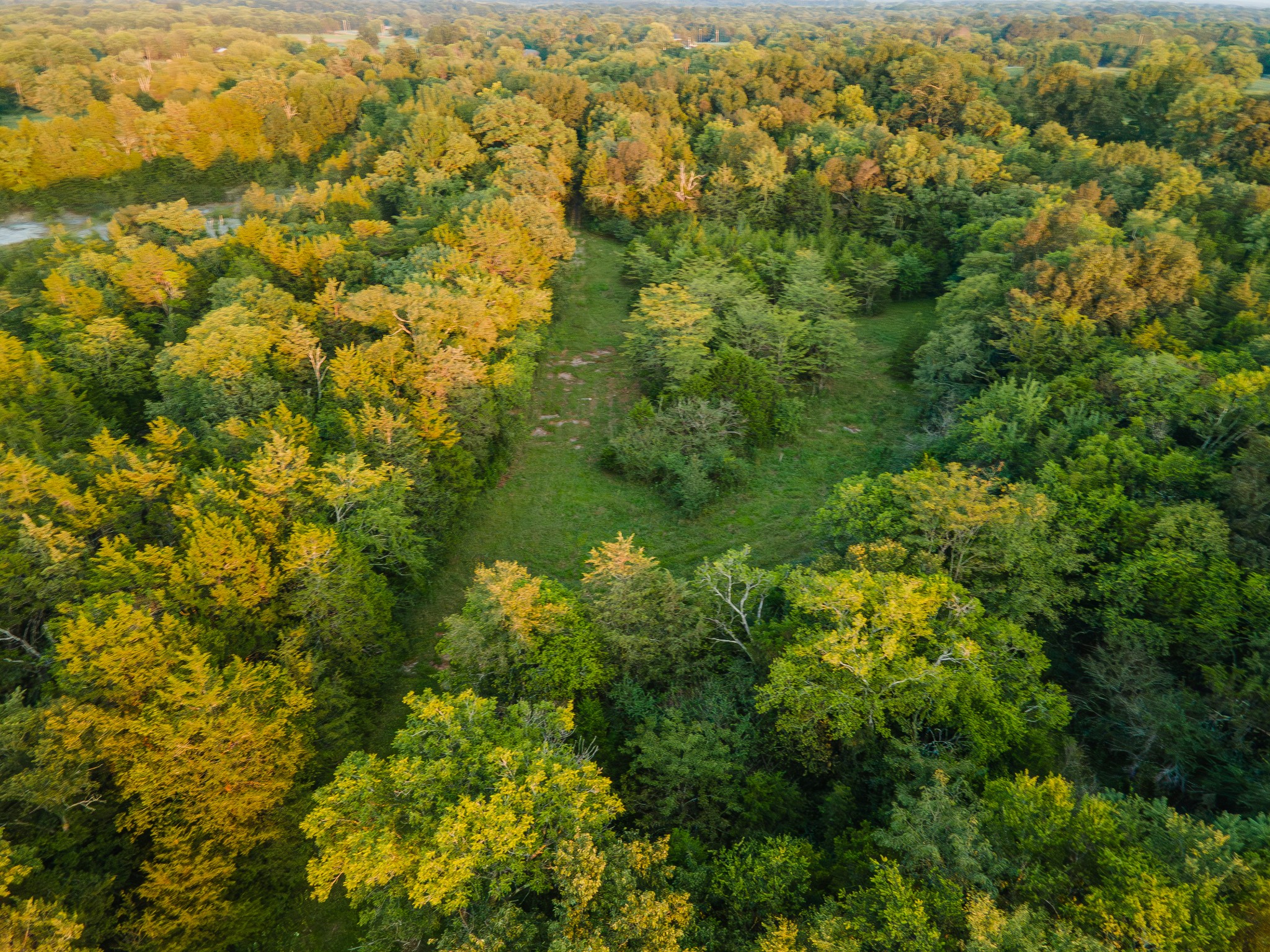 0 Hunter Bills Road Lewisburg, TN 37091 - Photo 57 of 73 a view of a yard