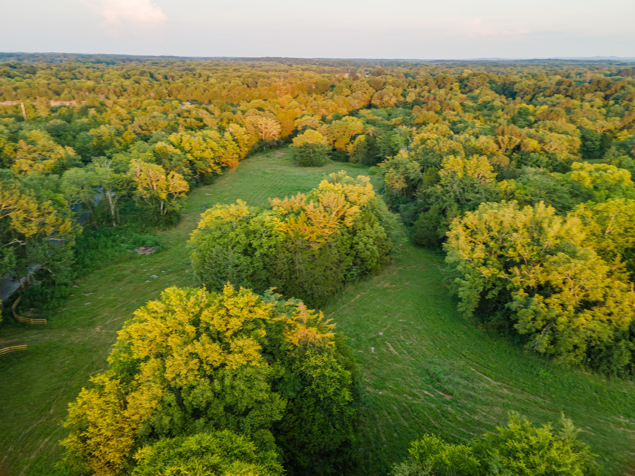 0 Hunter Bills Road Lewisburg, TN 37091 - Photo 59 of 73 a view of a lake with a yard