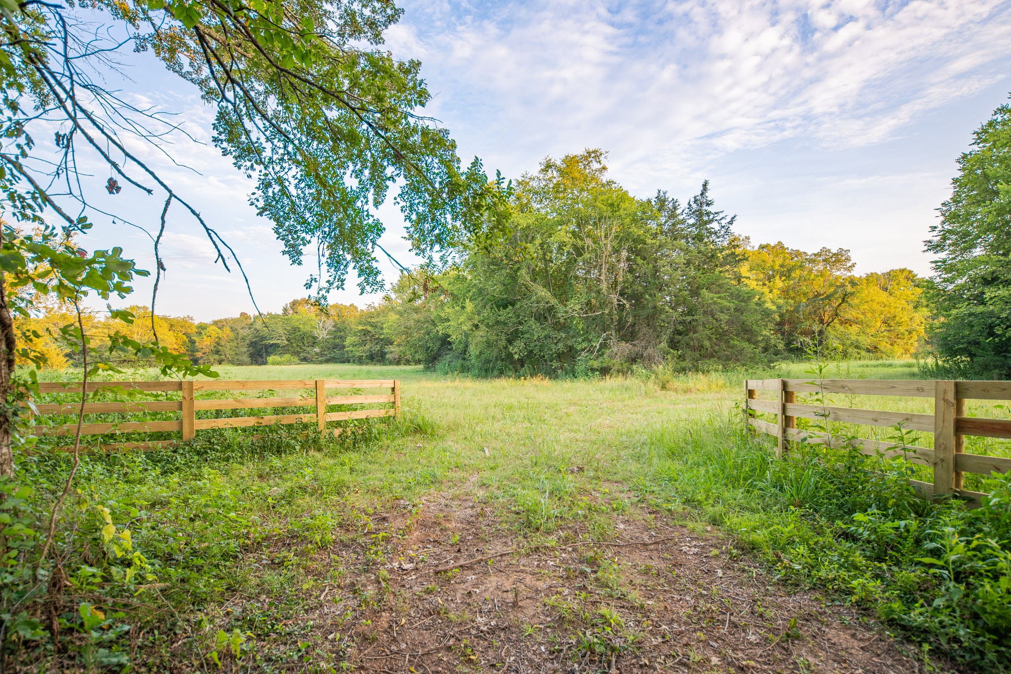0 Hunter Bills Road Lewisburg, TN 37091 - Photo 6 of 73 a view of a lake with houses