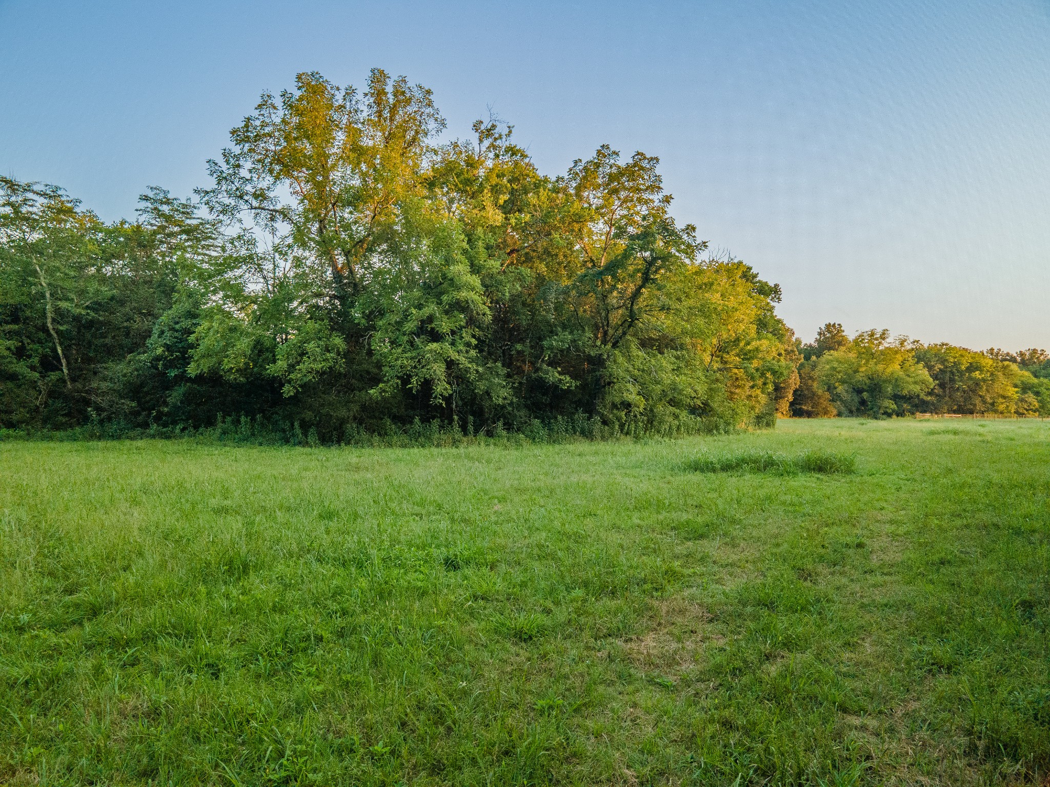 0 Hunter Bills Road Lewisburg, TN 37091 - Photo 63 of 73 a view of outdoor space and yard