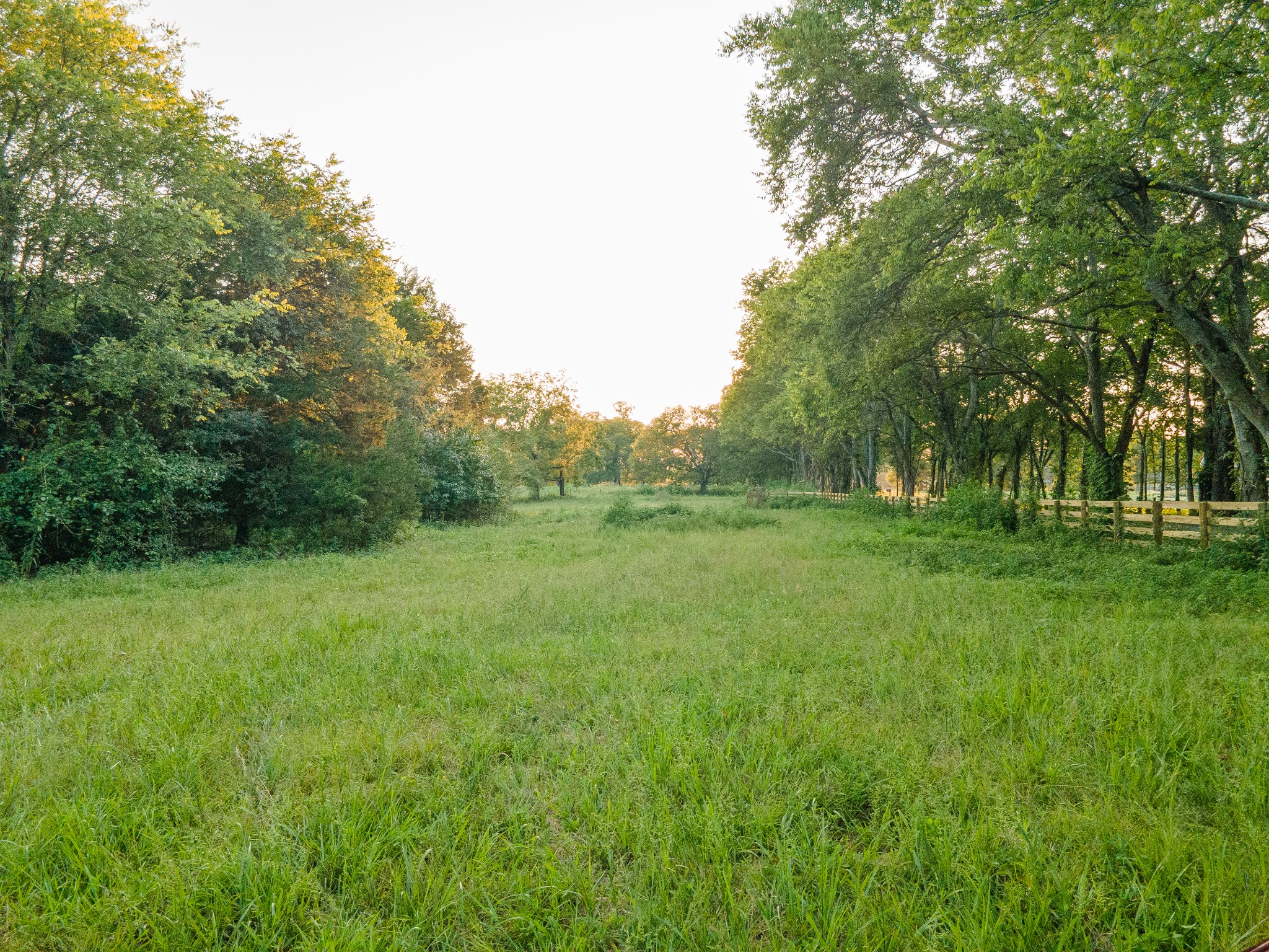0 Hunter Bills Road Lewisburg, TN 37091 - Photo 64 of 73 a view of grassy field with trees