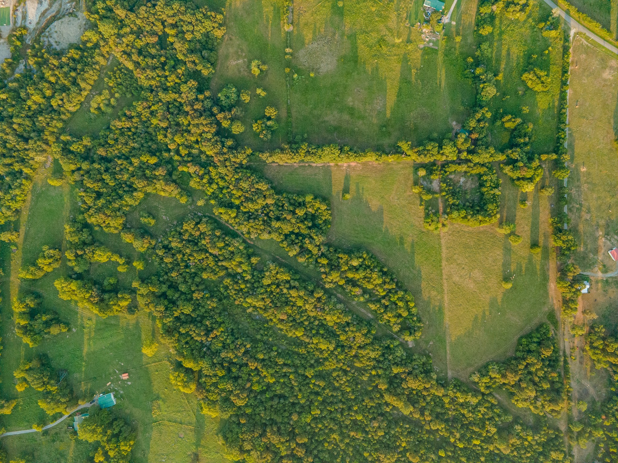 0 Hunter Bills Road Lewisburg, TN 37091 - Photo 66 of 73 a view of a garden