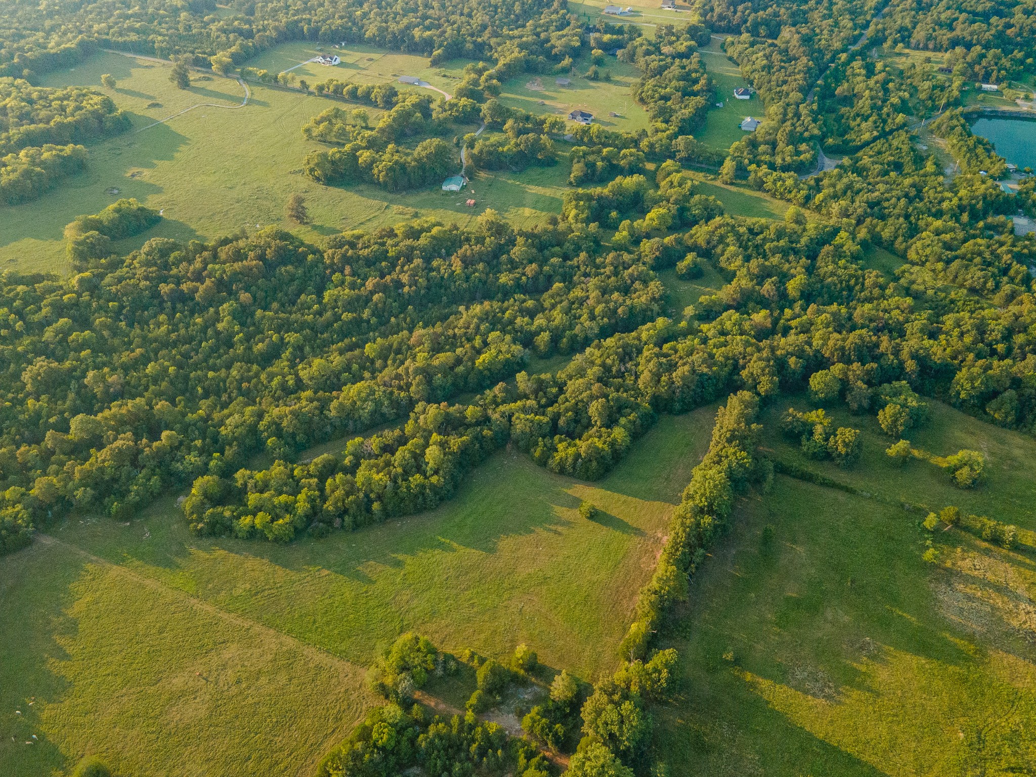0 Hunter Bills Road Lewisburg, TN 37091 - Photo 68 of 73 a view of a lake with a yard
