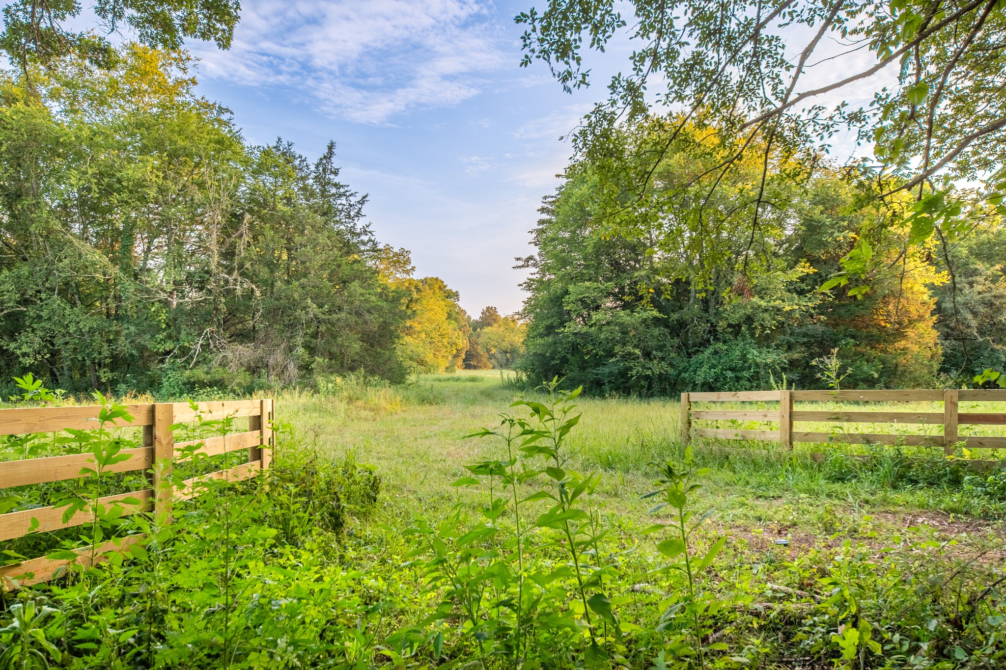 0 Hunter Bills Road Lewisburg, TN 37091 - Photo 7 of 73