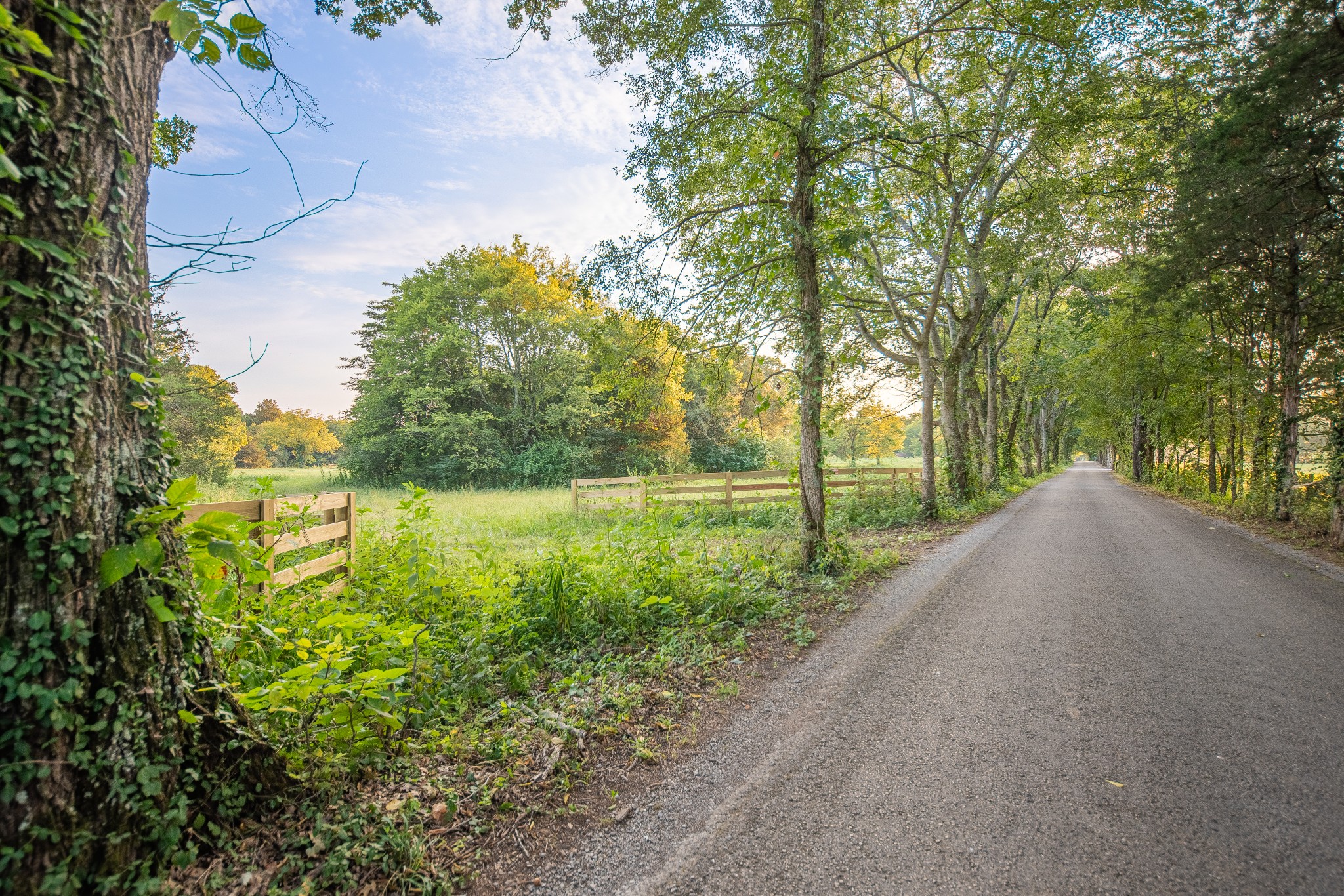 0 Hunter Bills Road Lewisburg, TN 37091 - Photo 8 of 73 a view of a garden with an outdoor space