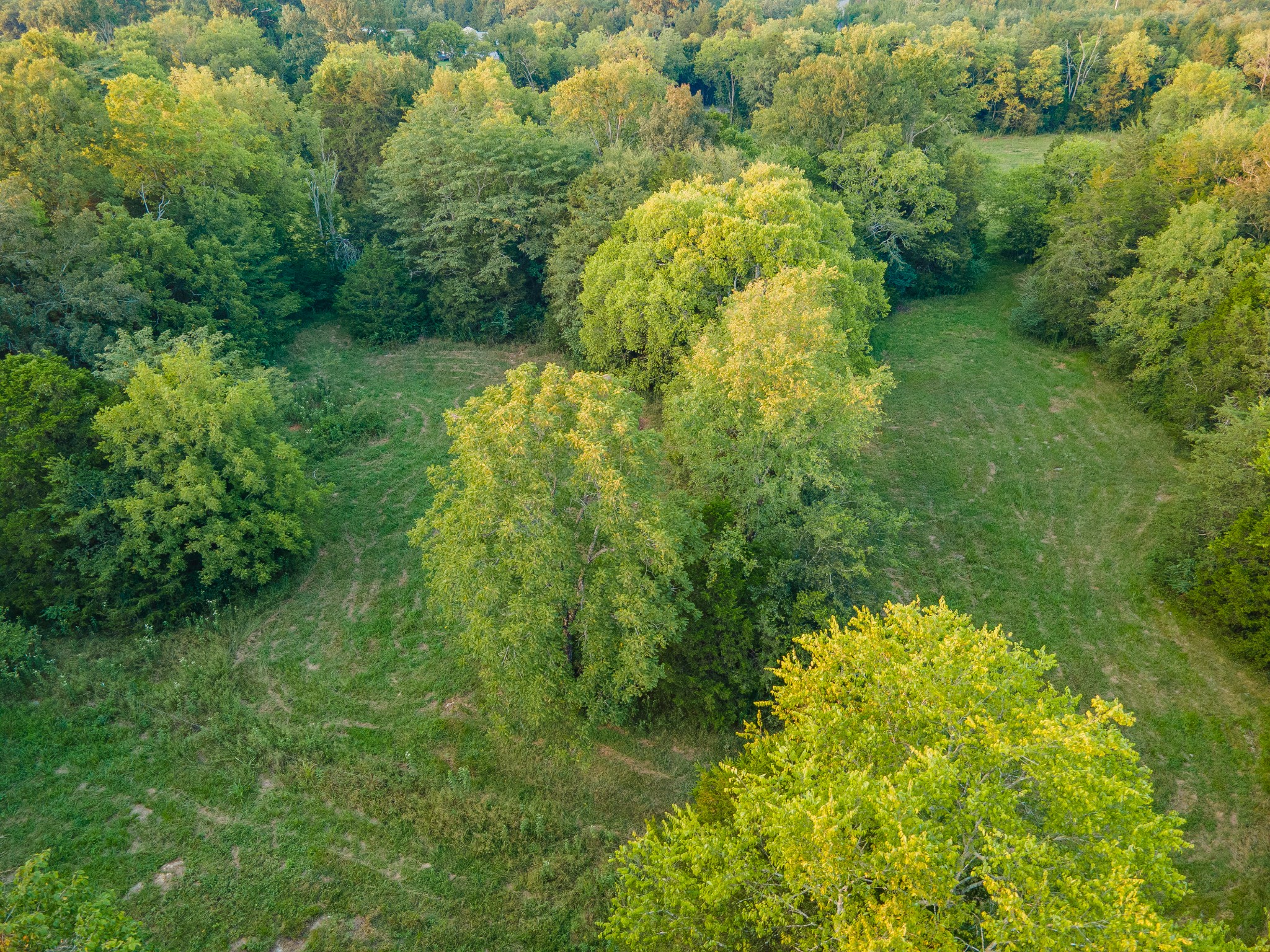 0 Hunter Bills Road Lewisburg, TN 37091 - Photo 10 of 73 a view of a garden