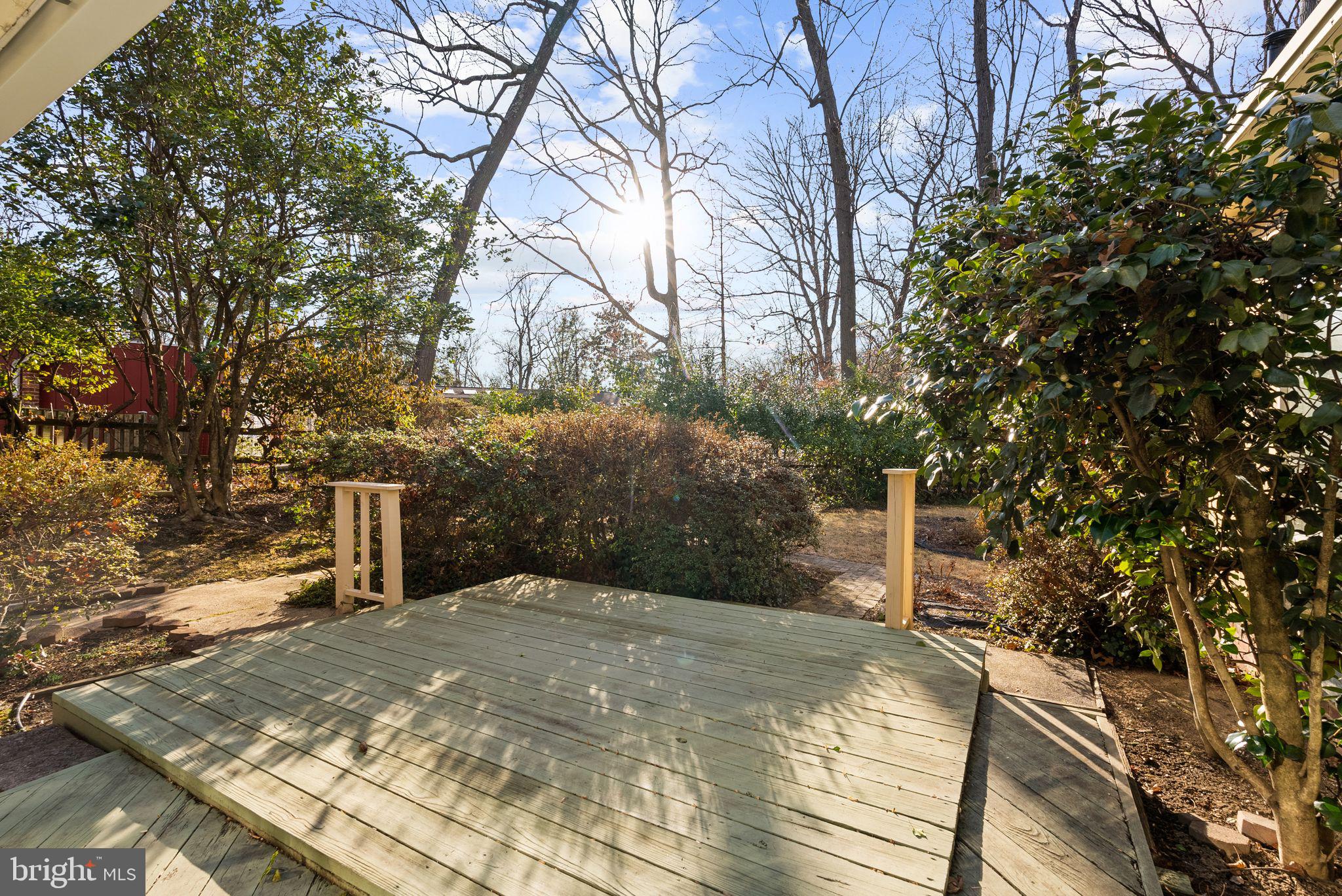 11702 College View Drive Silver Spring, MD 20902 - Photo 38 of 43