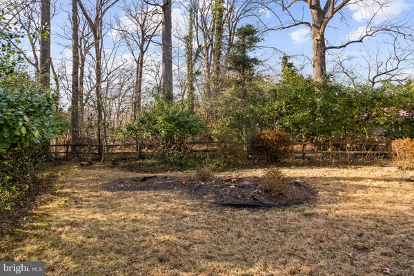 a view of dirt yard with a large tree