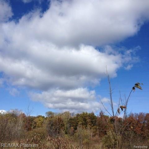 4392 Musson Road Fenton, MI 48430 - Photo 14 of 21 Gallery Image 14