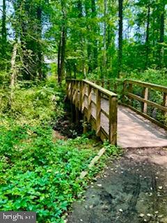 536 Maple Ridge Lane Odenton, MD 21113 - Photo 46 of 48 a view of park stairs and trees