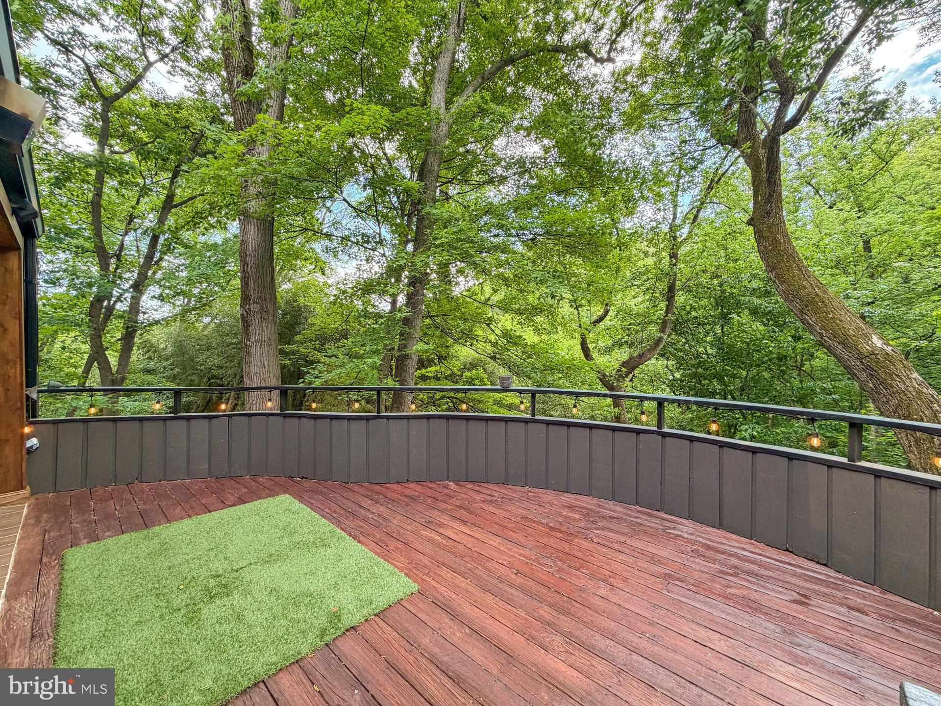 2603 Klingle Road Northwest Washington, DC 20008 - Photo 81 of 94