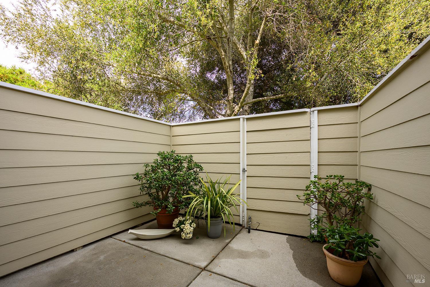 84 Crissy Place Novato, CA 94949 - Photo 17 of 37 a potted plant sitting in front of a window