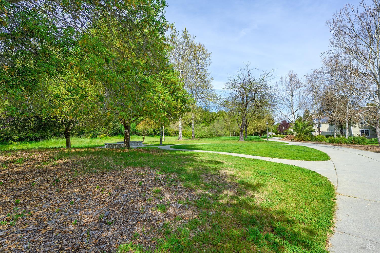 84 Crissy Place Novato, CA 94949 - Photo 34 of 37 a view of a park with tree s