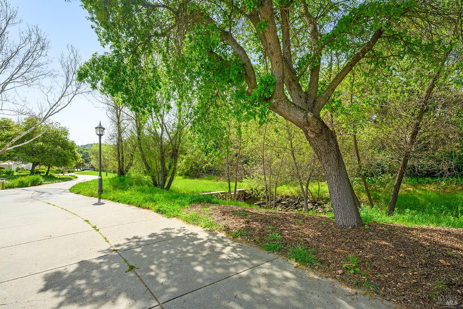 84 Crissy Place Novato, CA 94949 - Photo 35 of 37 a view of a park with plants and trees