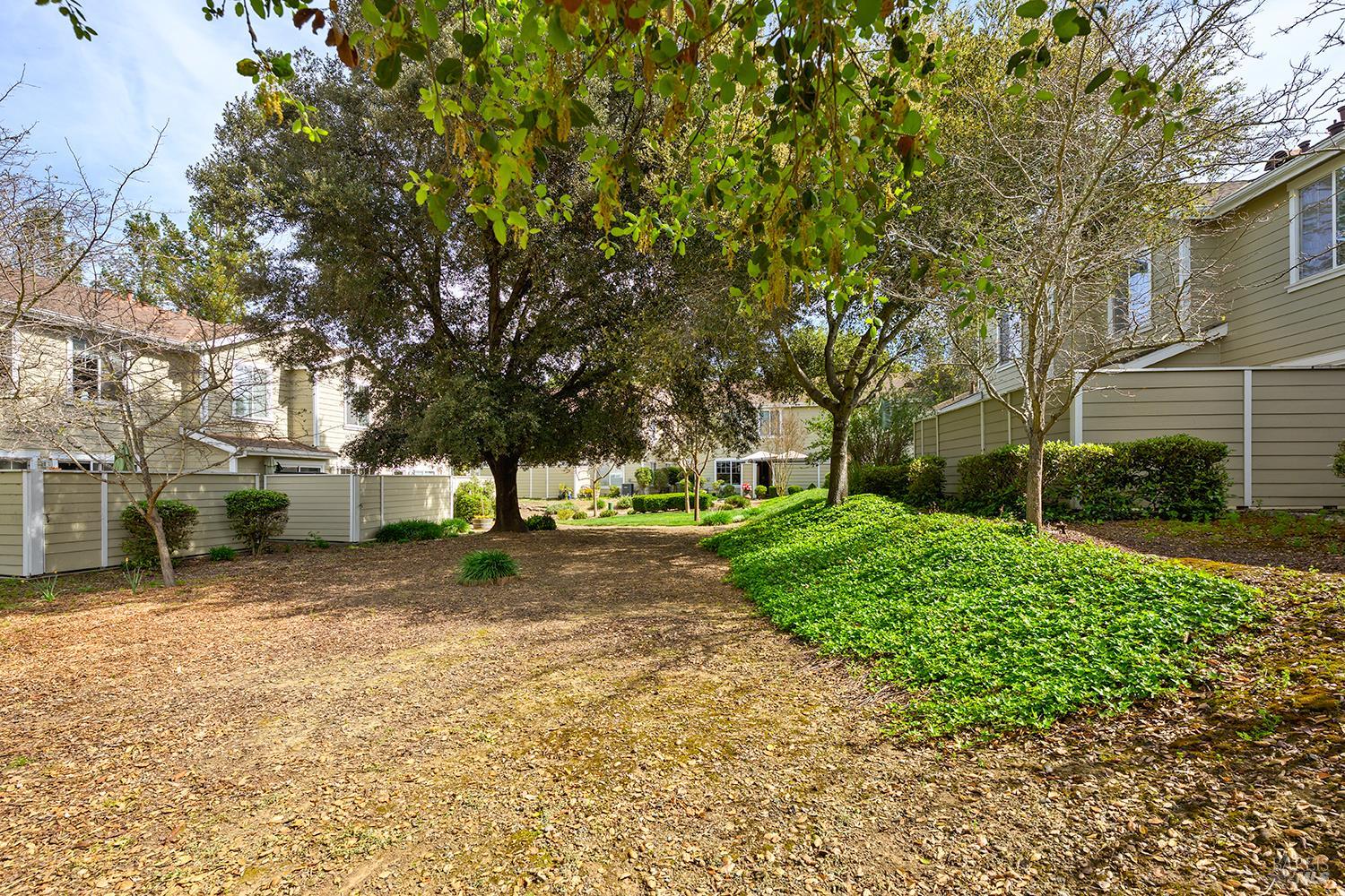 84 Crissy Place Novato, CA 94949 - Photo 36 of 37 a view of a yard with plants and a large tree
