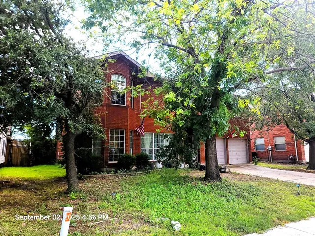 a tree in front of a house with a yard