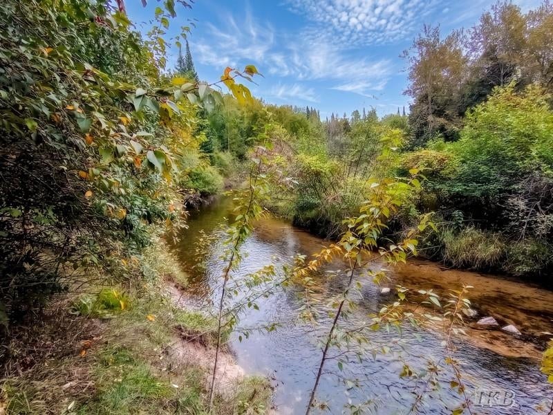 35.11-acres North Hockaday Road Gladwin, MI 48624 - Photo 61 of 83 Gallery Image 61