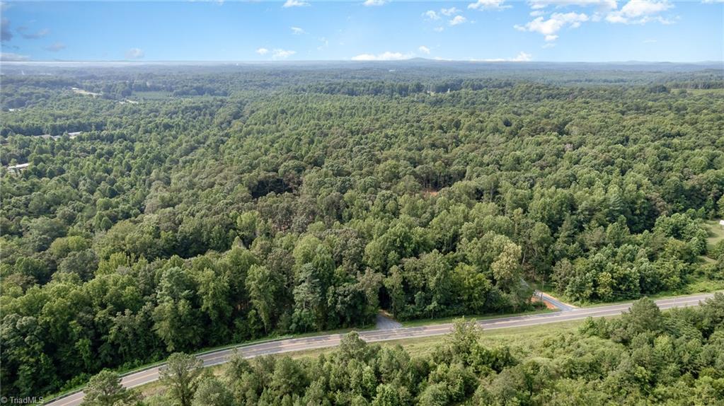 0 Low Bridge Road Franklinville, NC 27248 - Photo 3 of 13