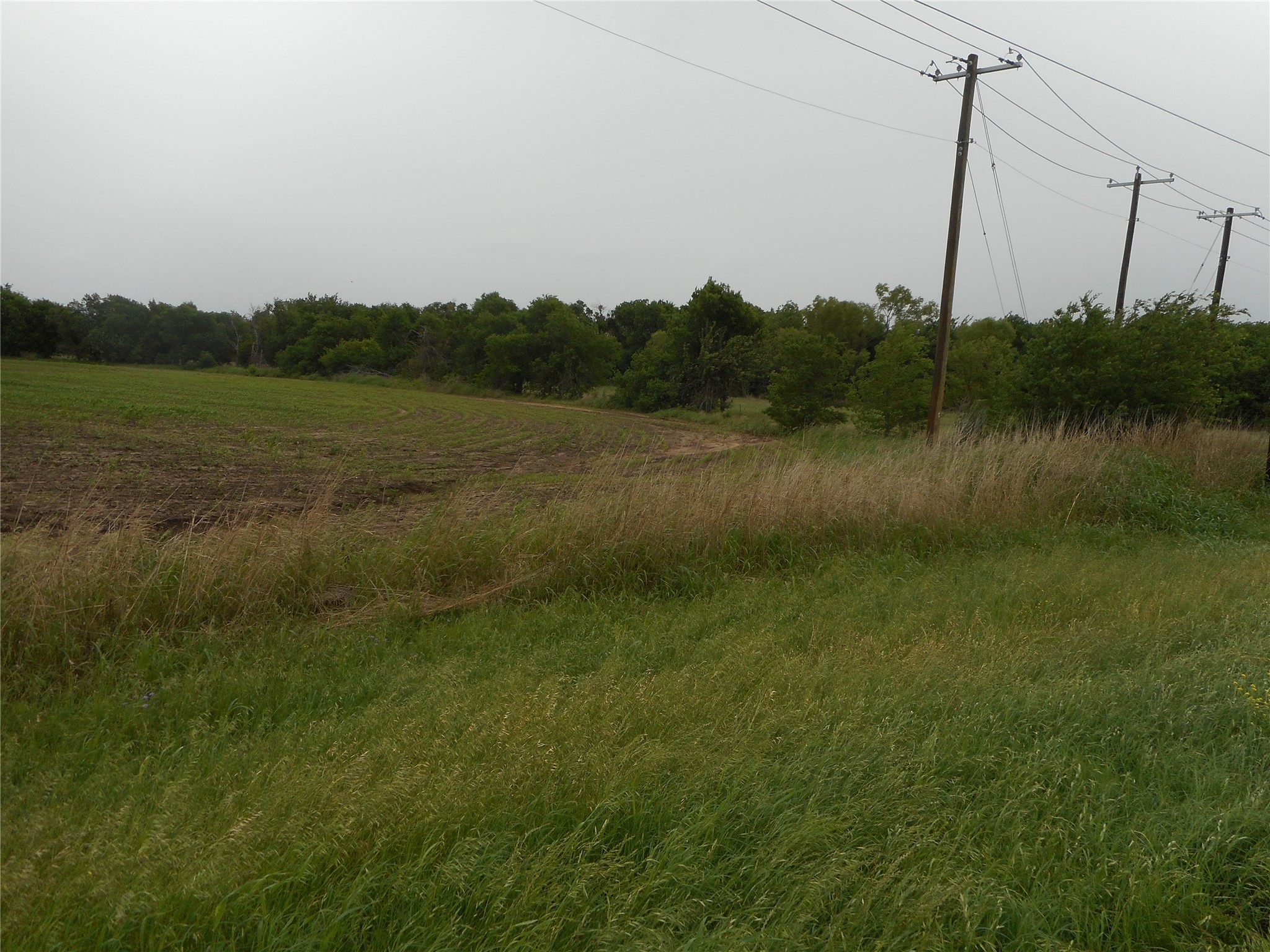 619 North Rd Taylor Tx 76574 Road Taylor, TX 76574 - Photo 7 of 15 The property features an expanse of green grass and a cultivated field, bordered by trees