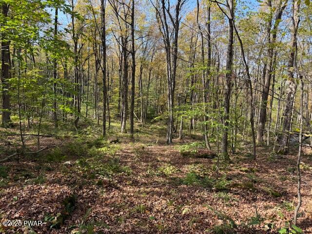 Fairmont Road Road Starrucca, PA 18462 - Photo 14 of 18