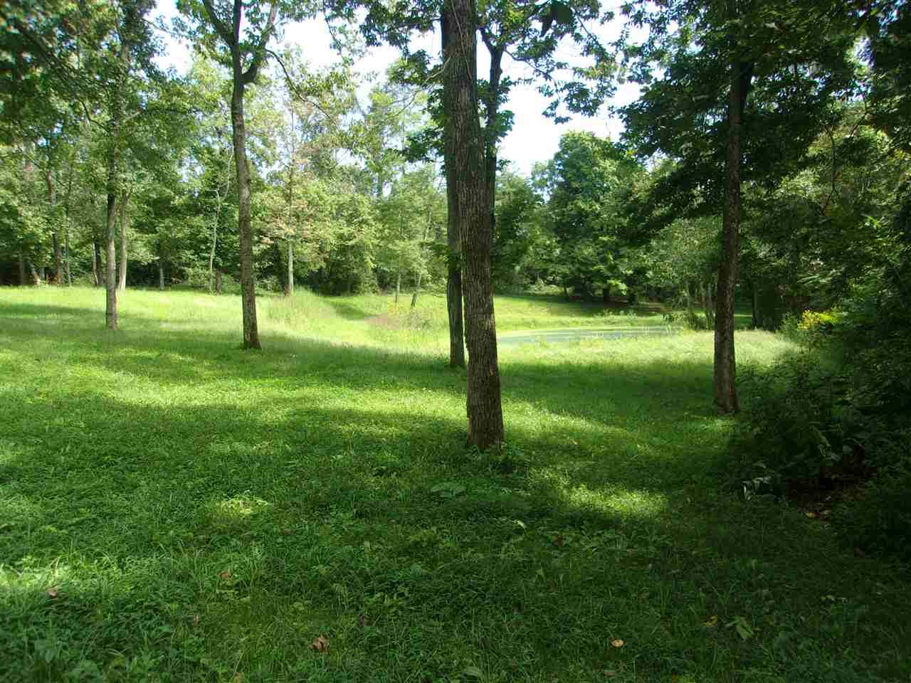 30-acres Dover Road Augusta, KY 41002 - Photo 2 of 50 Gallery Image 2
